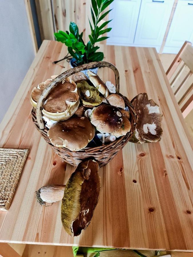 Chata Zorka Opařany Extérieur photo